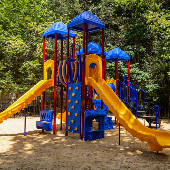 Children's gym with a small rock wall and 2 slides.