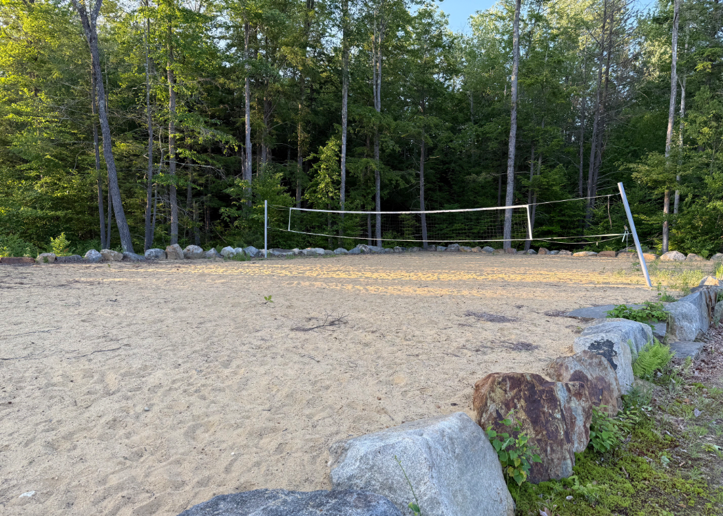 Outdoor volllyball court with sand and trees surrounding it.